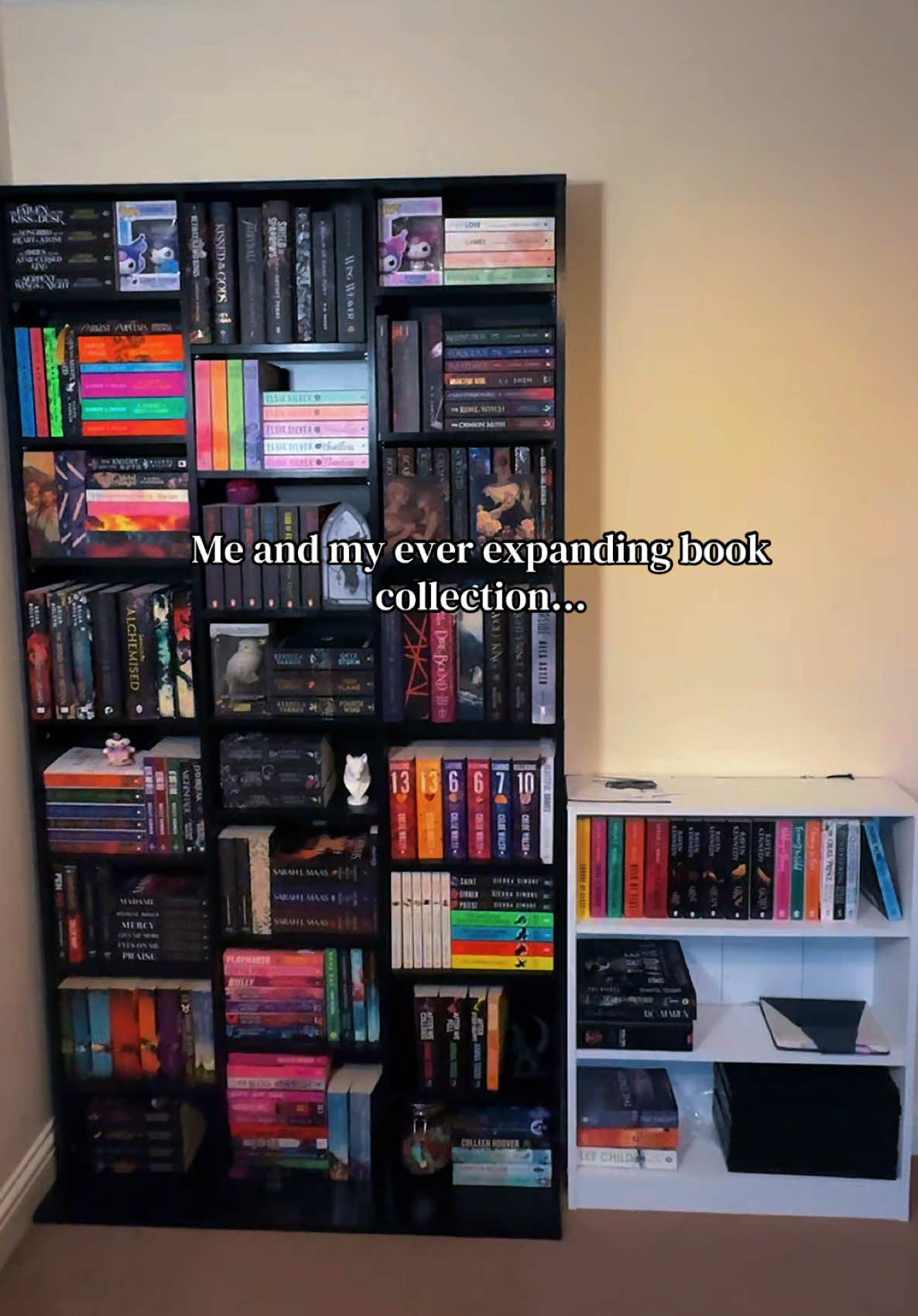 @ShannonsDarkLore 📚🖤