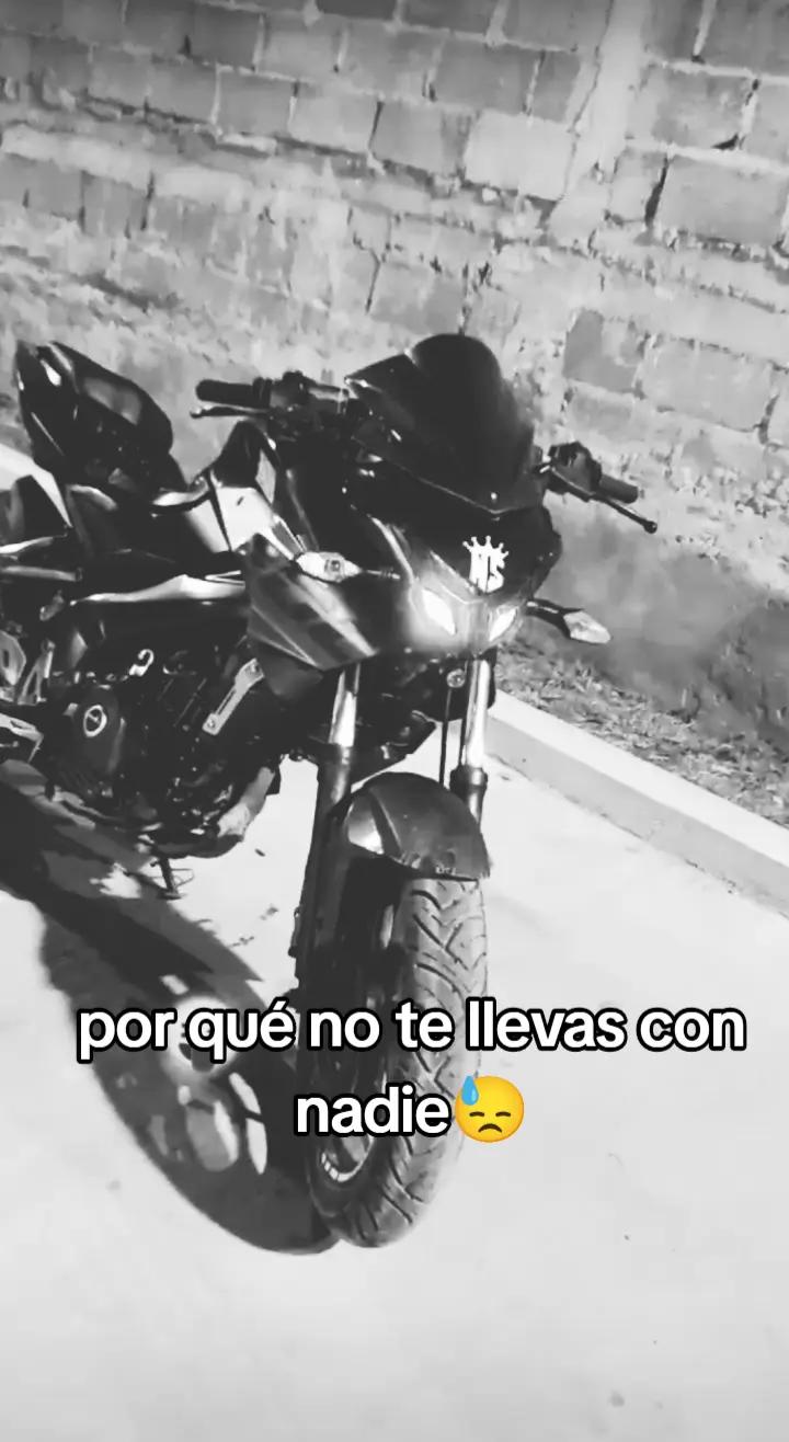 @🎭✅el bandido ✅🎭