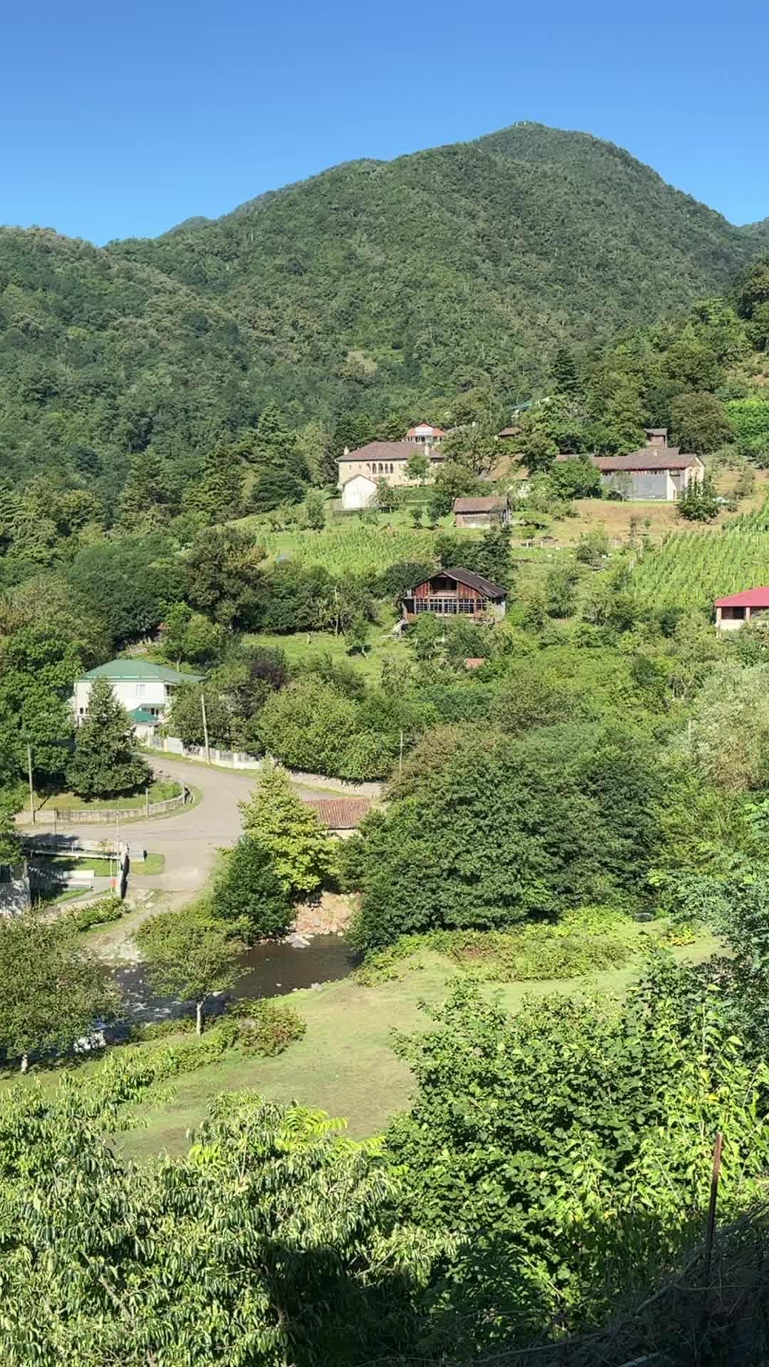 @Tengo nikoleishvili