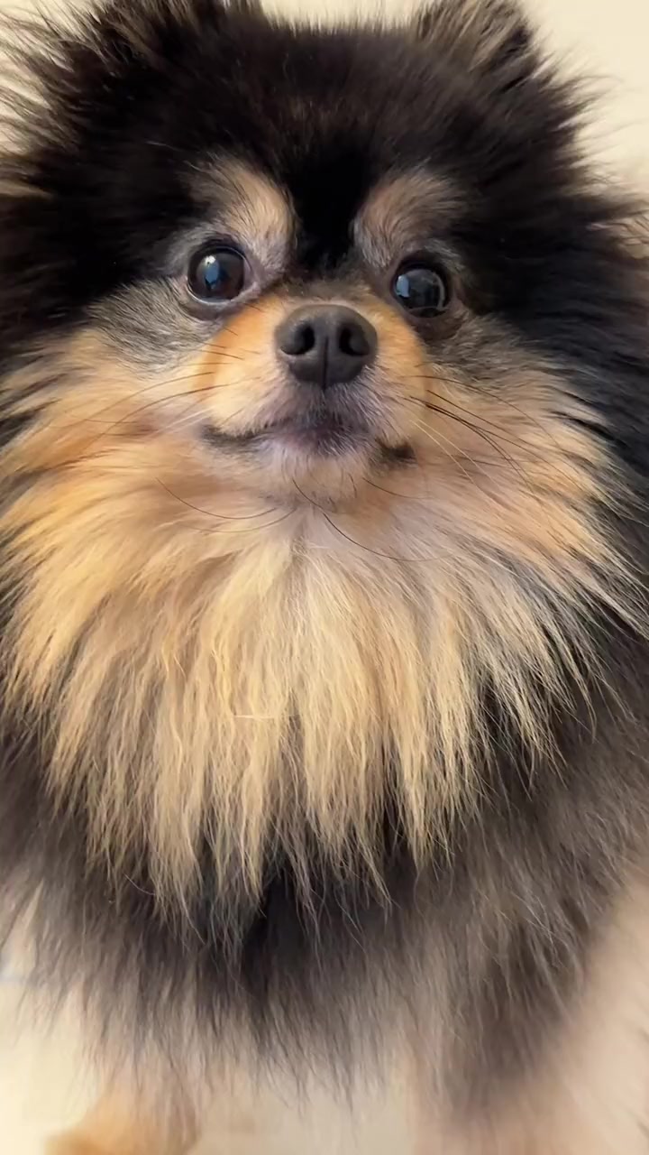 @V