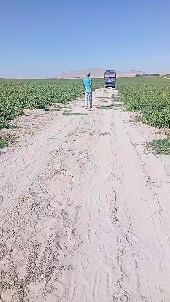 @motorcukız4242