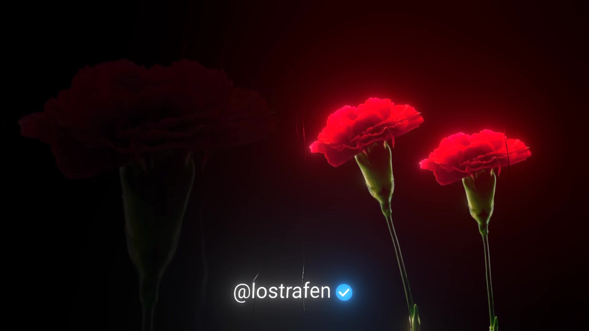 @𝐥𝐨𝐬𝐭𝐫𝐚𝐟𝐢𝐧 𝄞