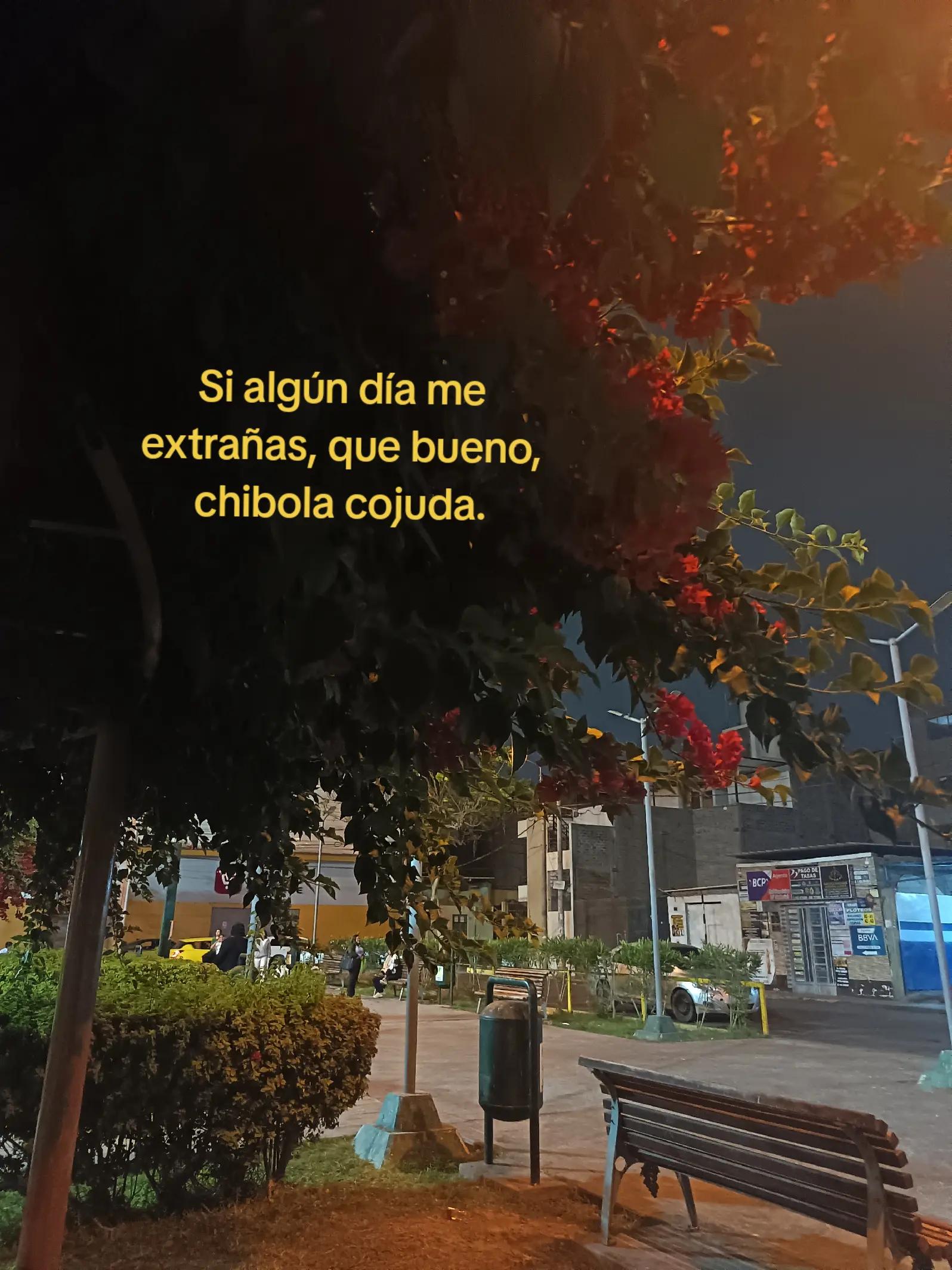 @𝖊.𝖋𝖗𝖆𝖓𝖓𝖐_𝟑𝟎𓆰𓆪