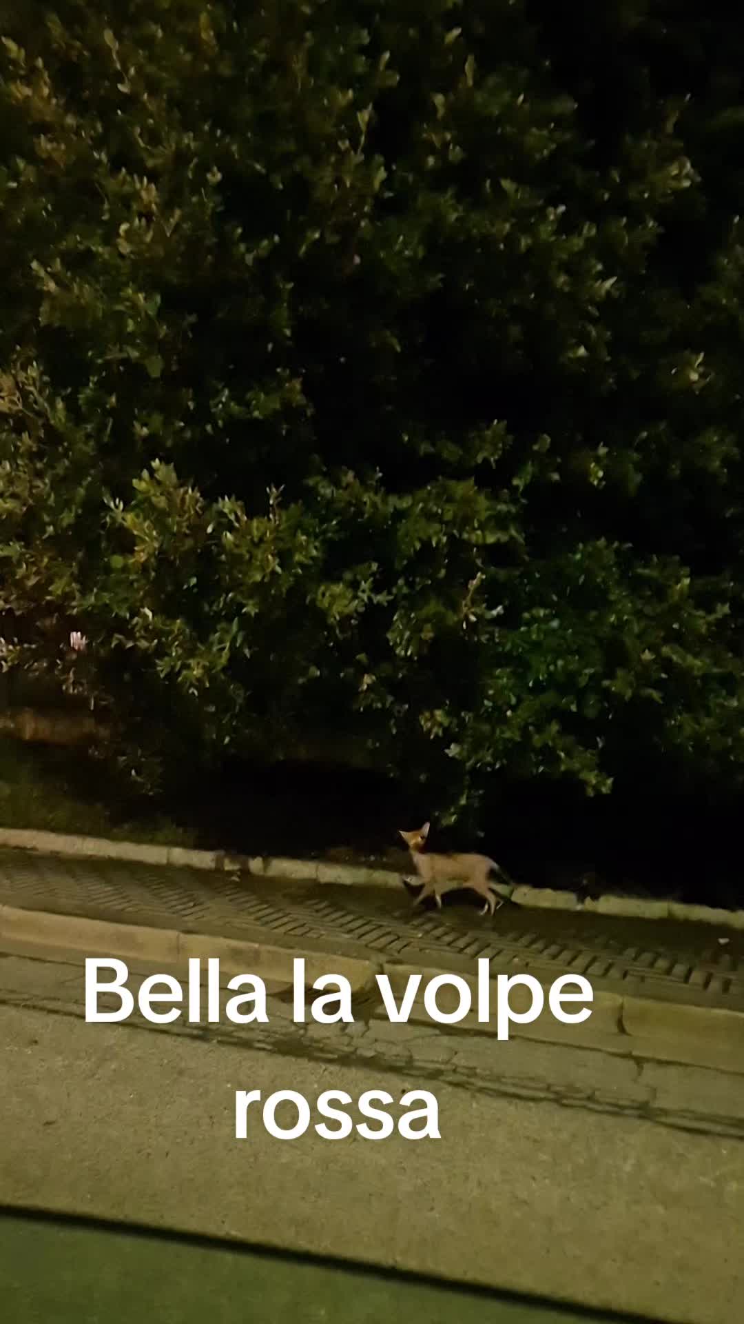 @Giancarlo Billeri
