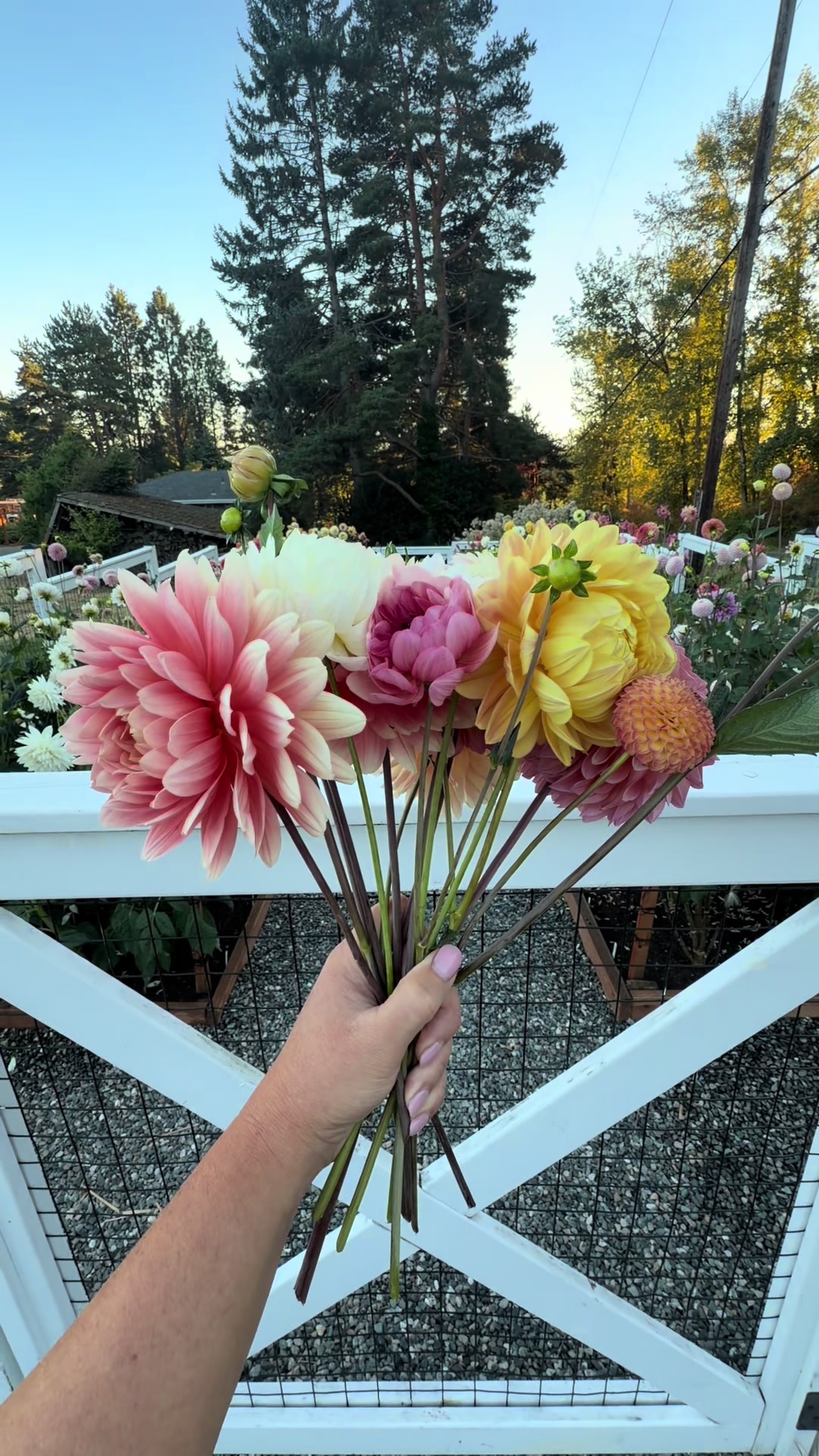 @Only The Pretty Petals
