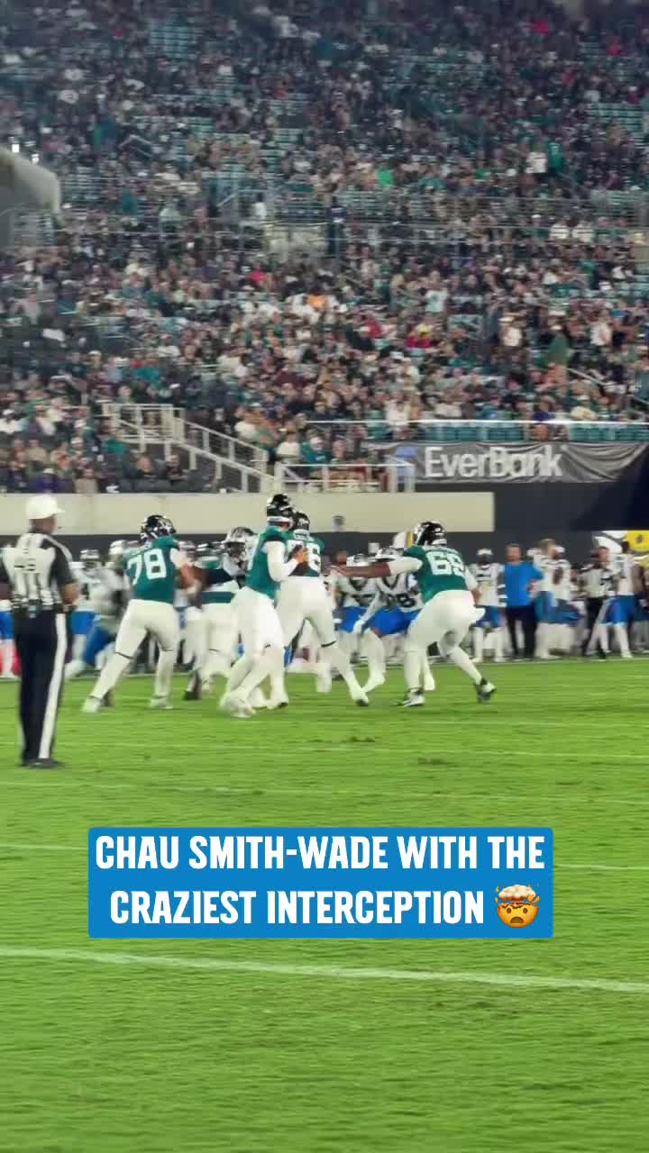 @Carolina Panthers