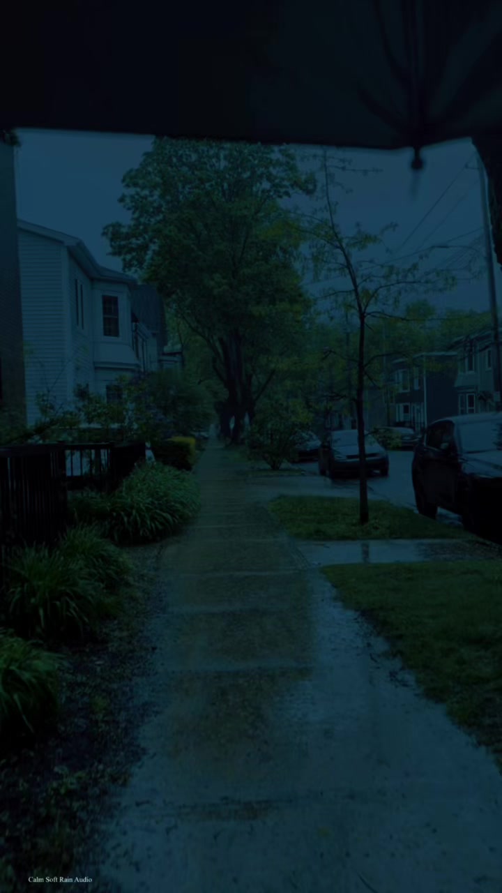 @Calm Soft Rain Audio