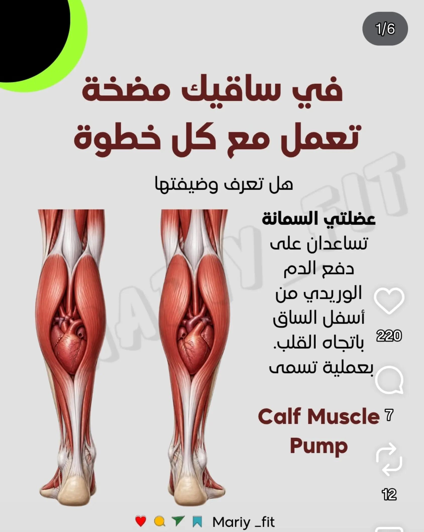 @captain Qutaiba