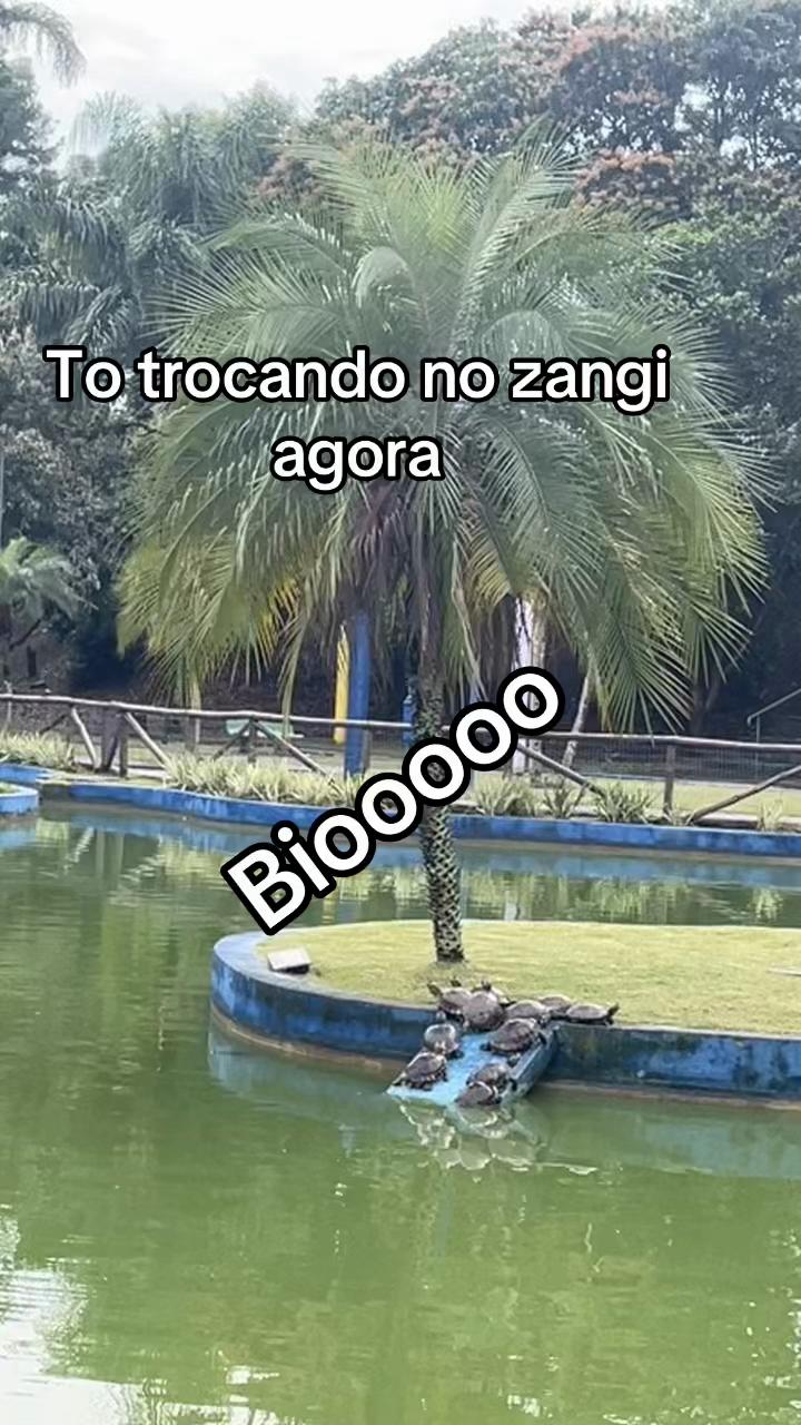@manuellarossi43