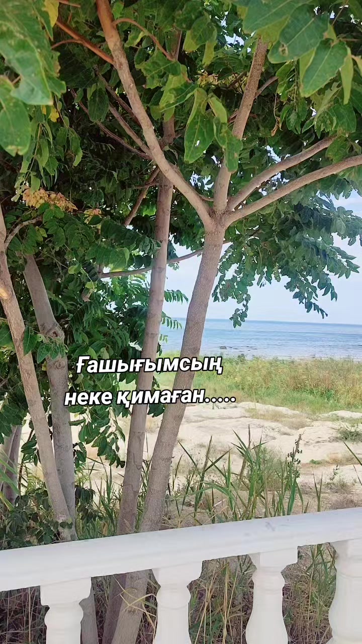 @Аллаға_шүкір 🇰🇿🇰🇿🇰🇿