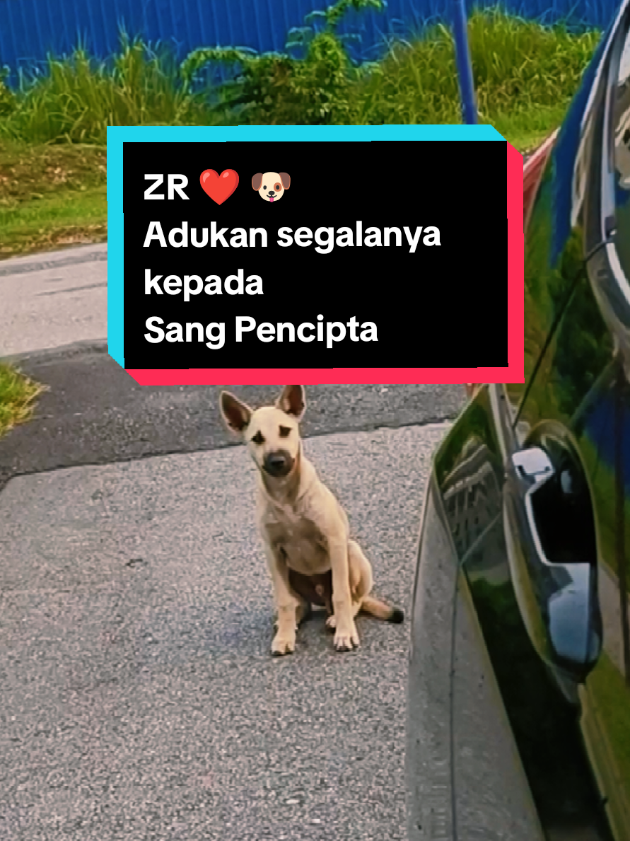 @ZR 🇲🇾