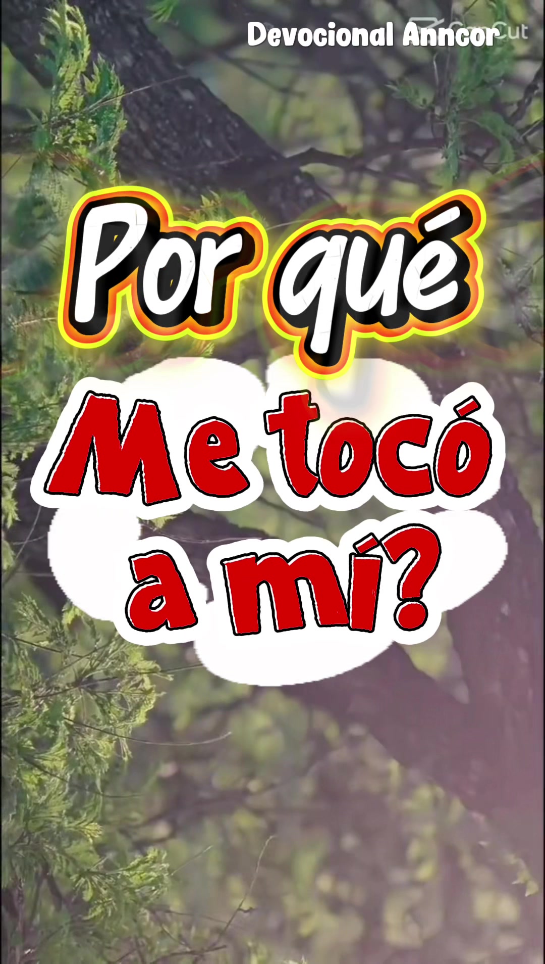 @Se&ntilde;o Beky
