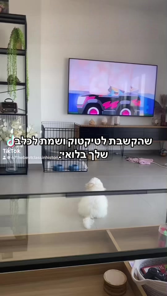@🐣
