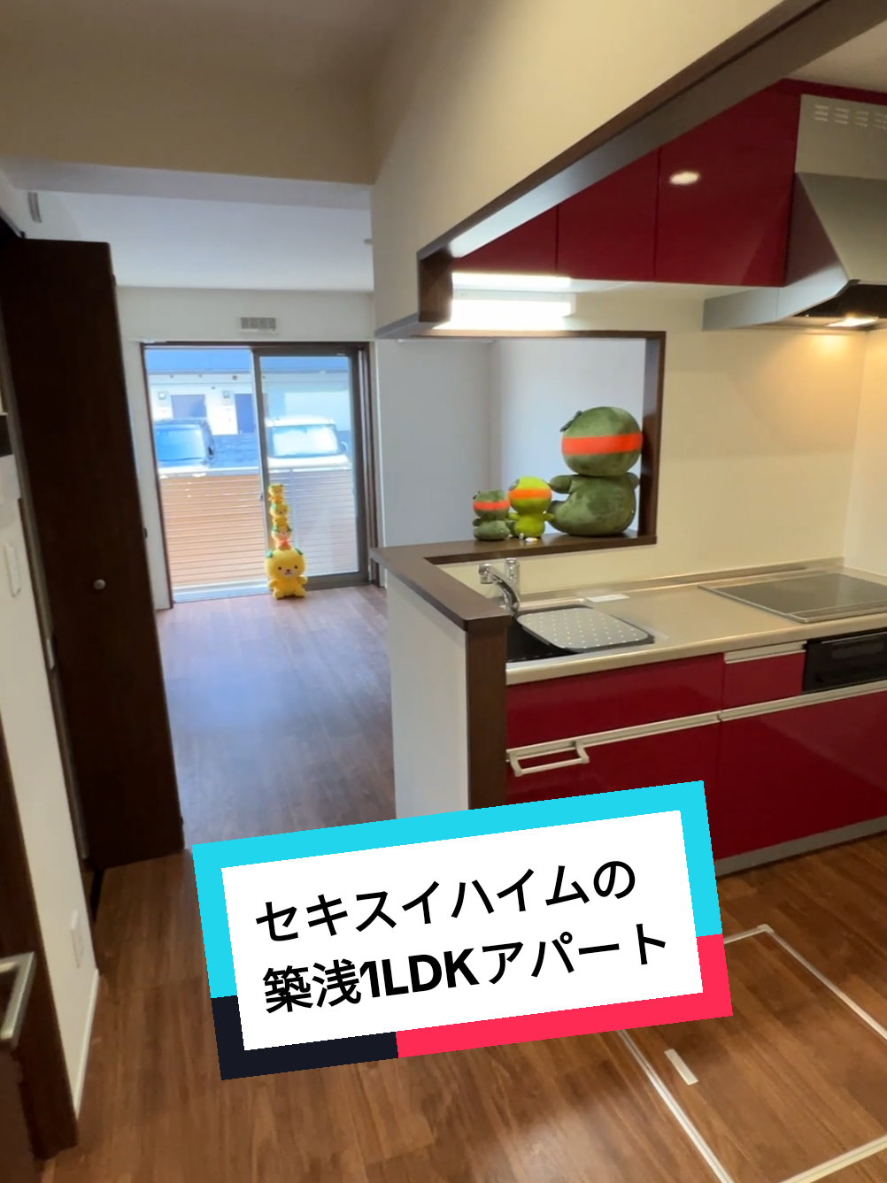 @賃貸ルームツアー♪松山市と今治市みかん不動産