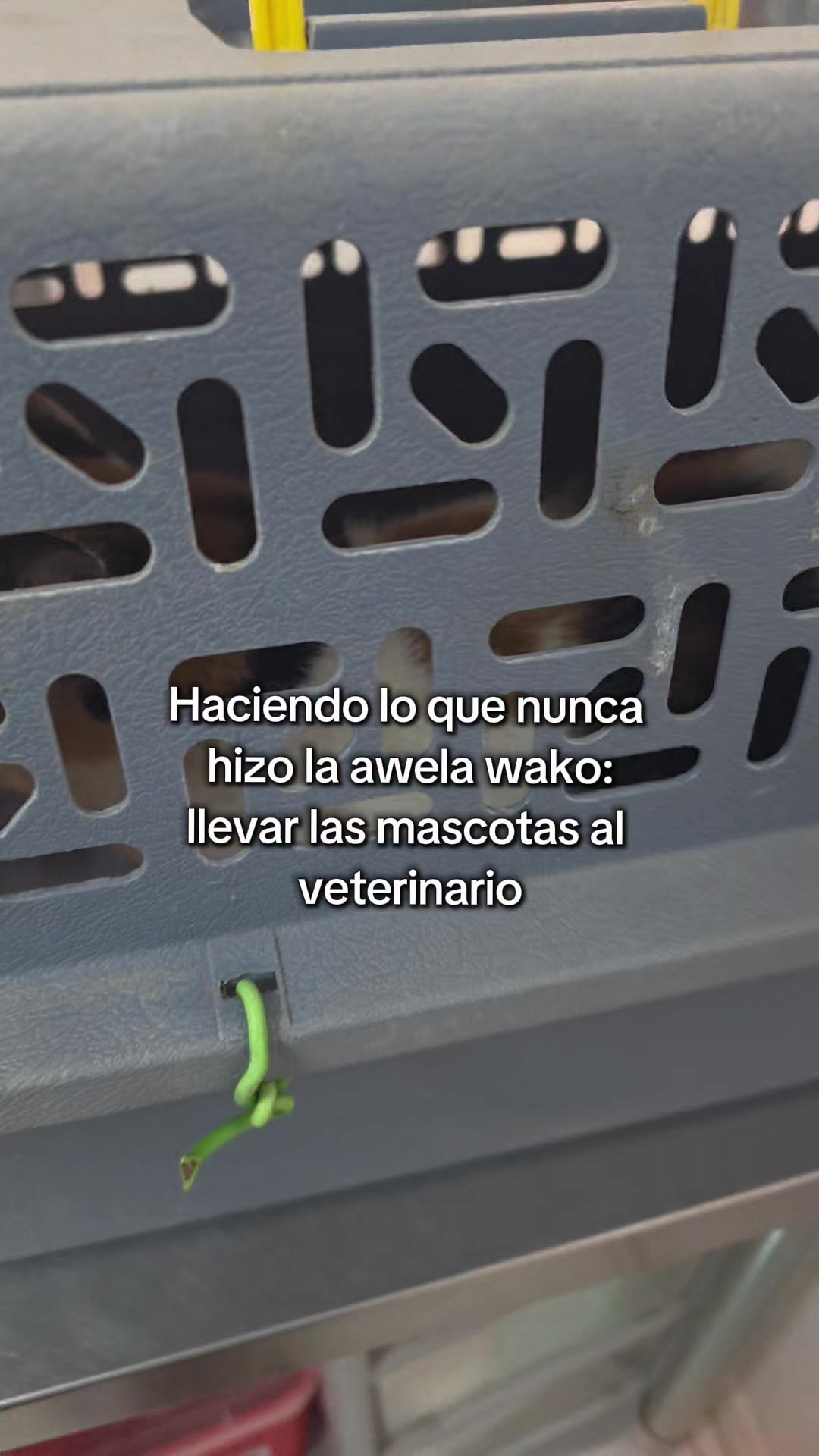 @Dani.exe