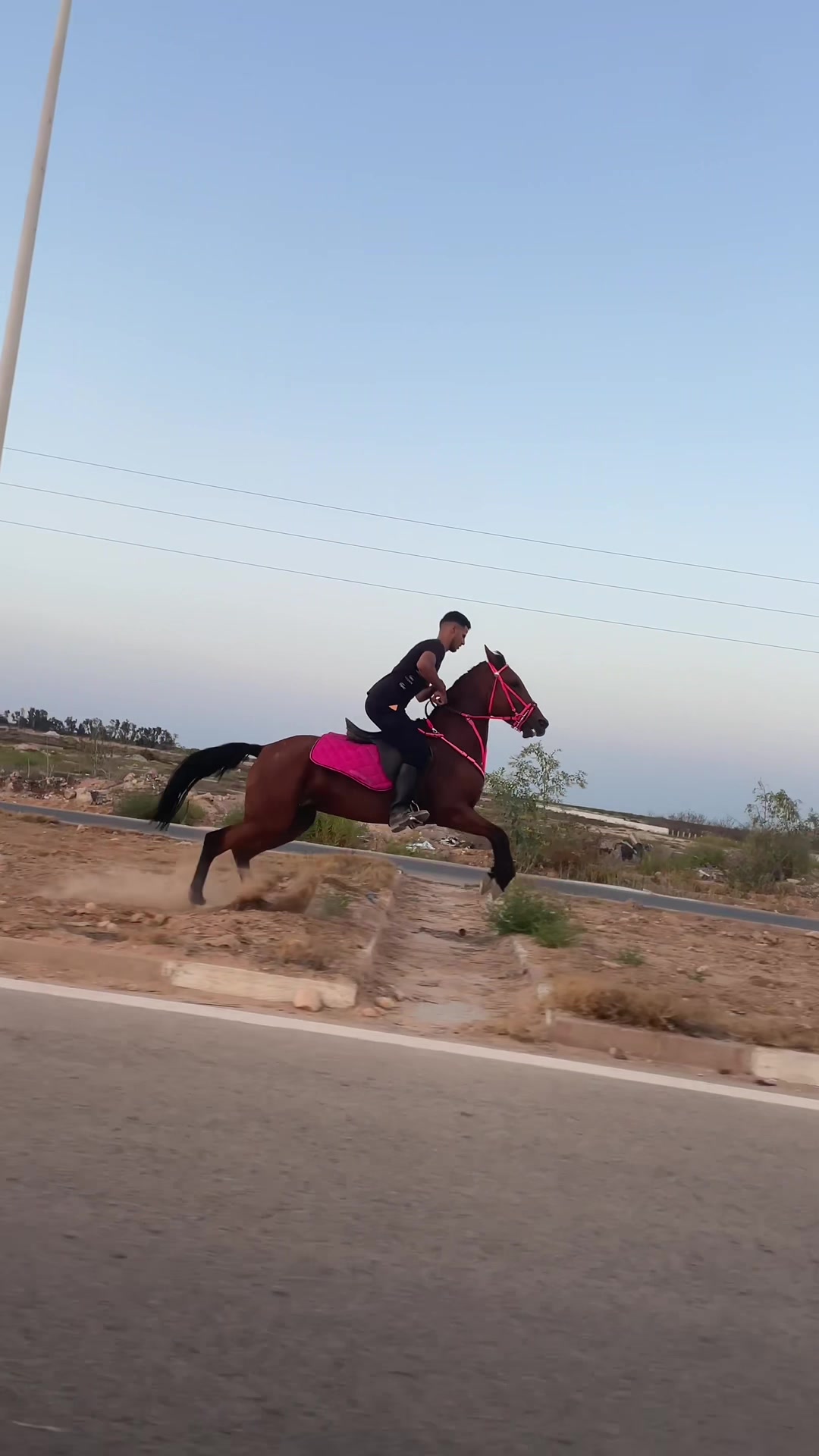 @Feres Ben Amor 🏇