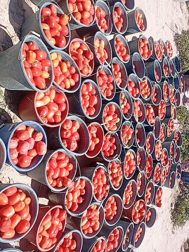 @motorcukız4242