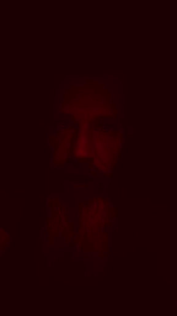 @the.original.box.lizzard