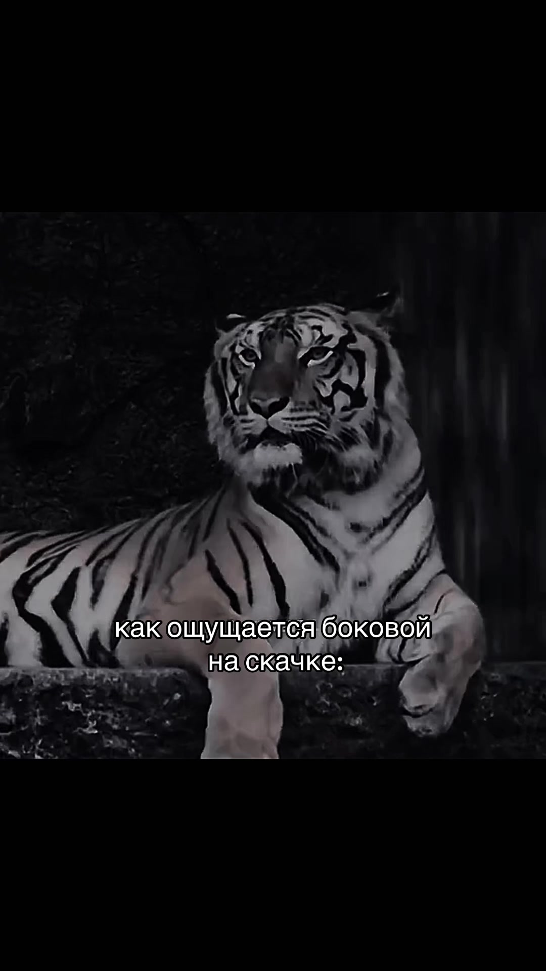 @egor_spartanec