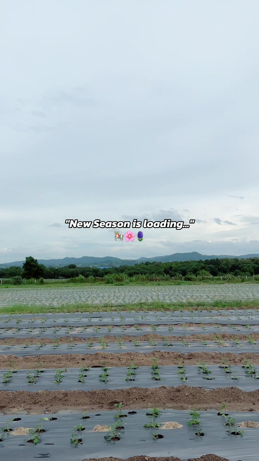 @Take Me Home Park Khaoyai