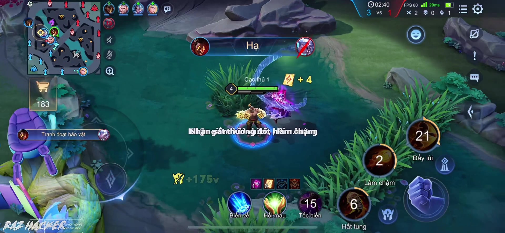 @Raz Hacker