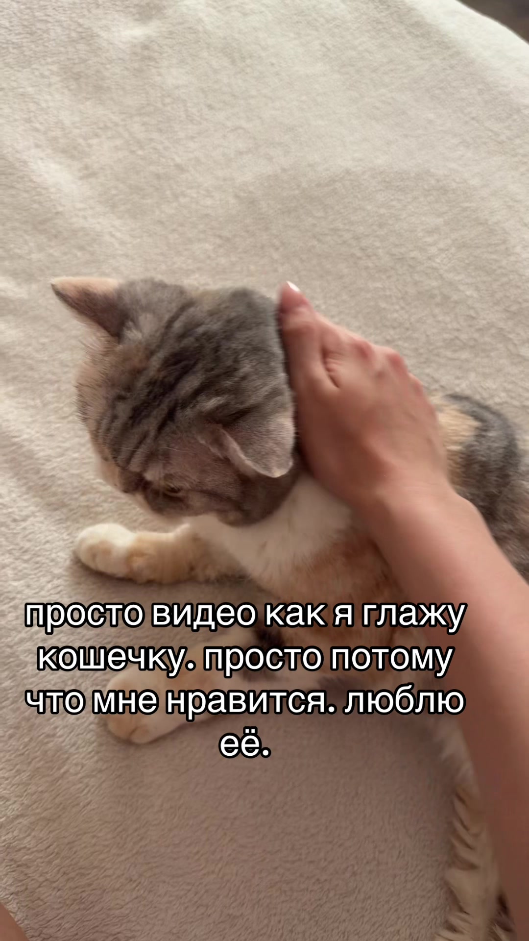 @masha/玛莎