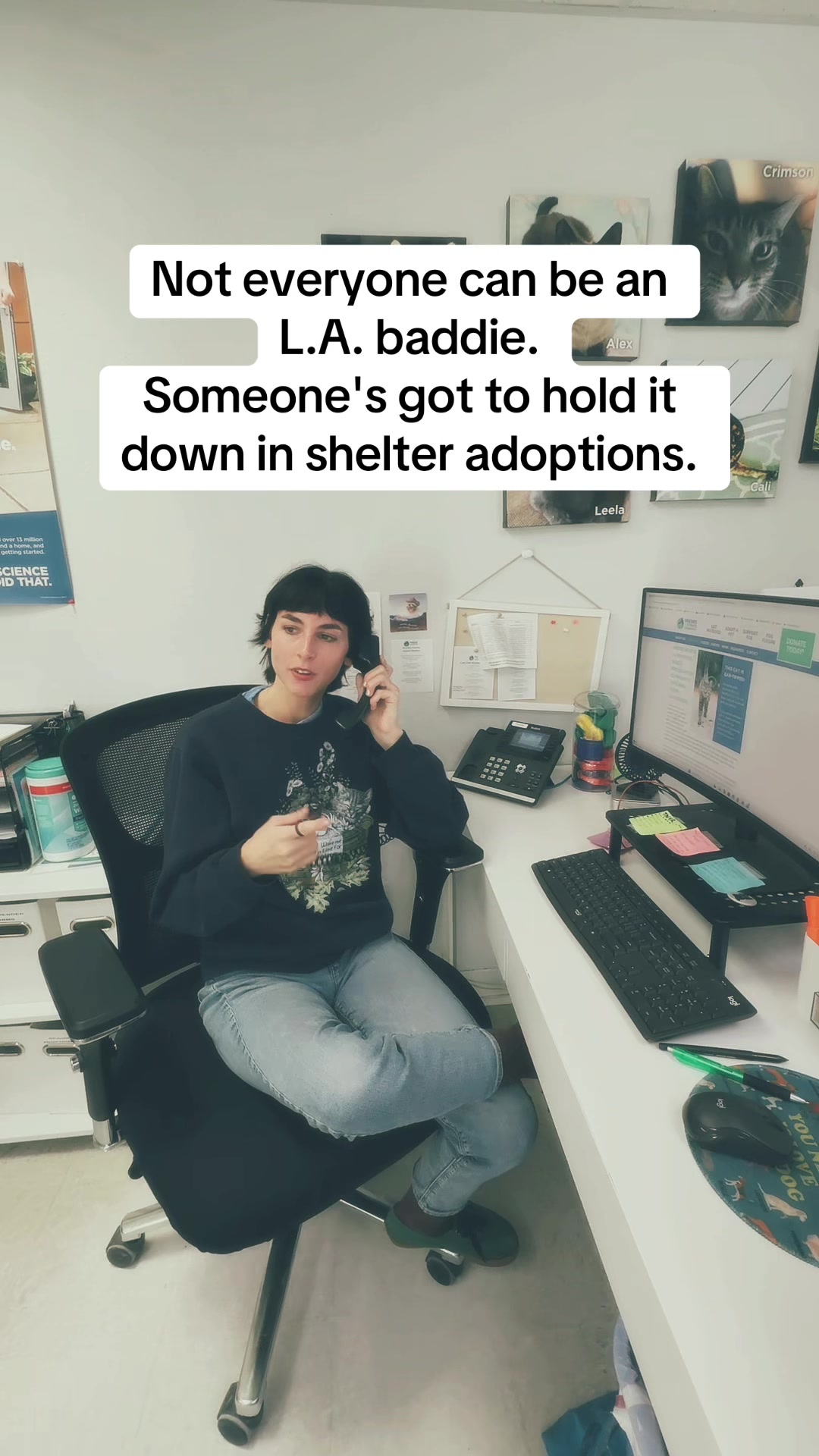 @Friends of Strays