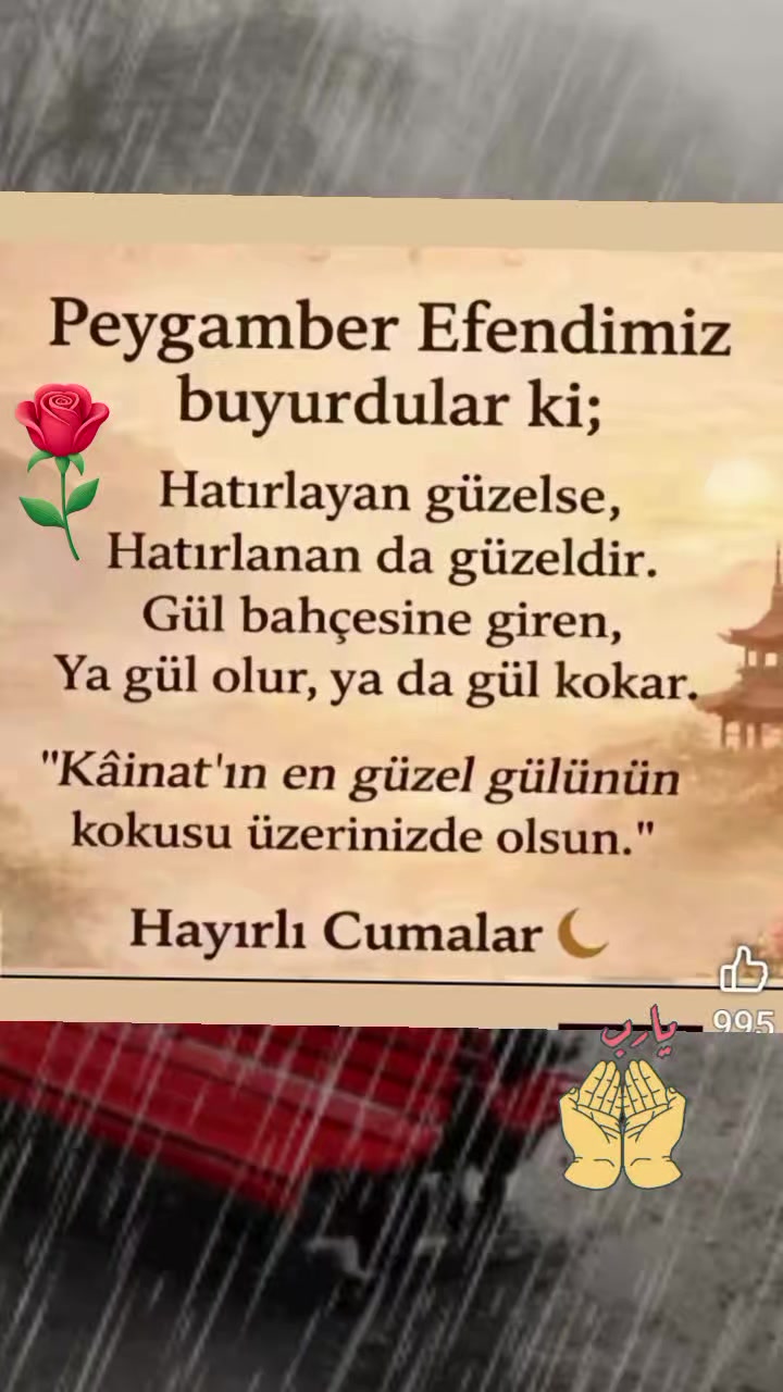 @serpil karakuş