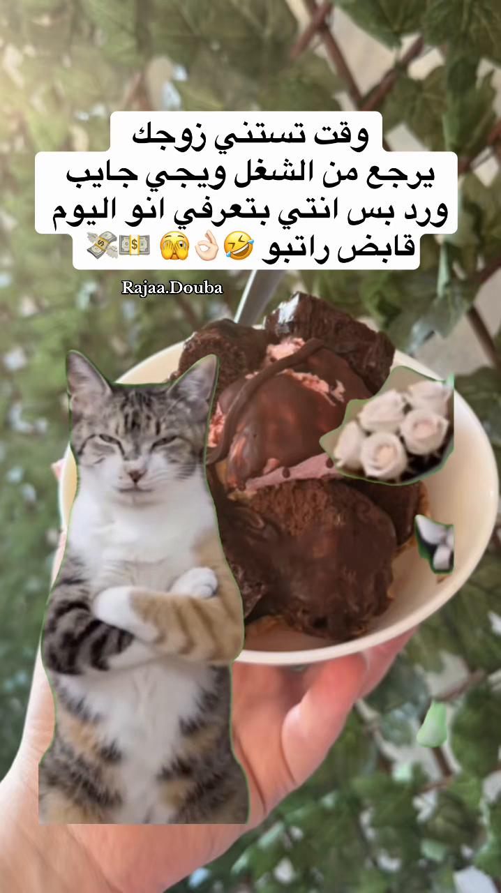 @🇸🇾Rajaa Douba🇩🇪