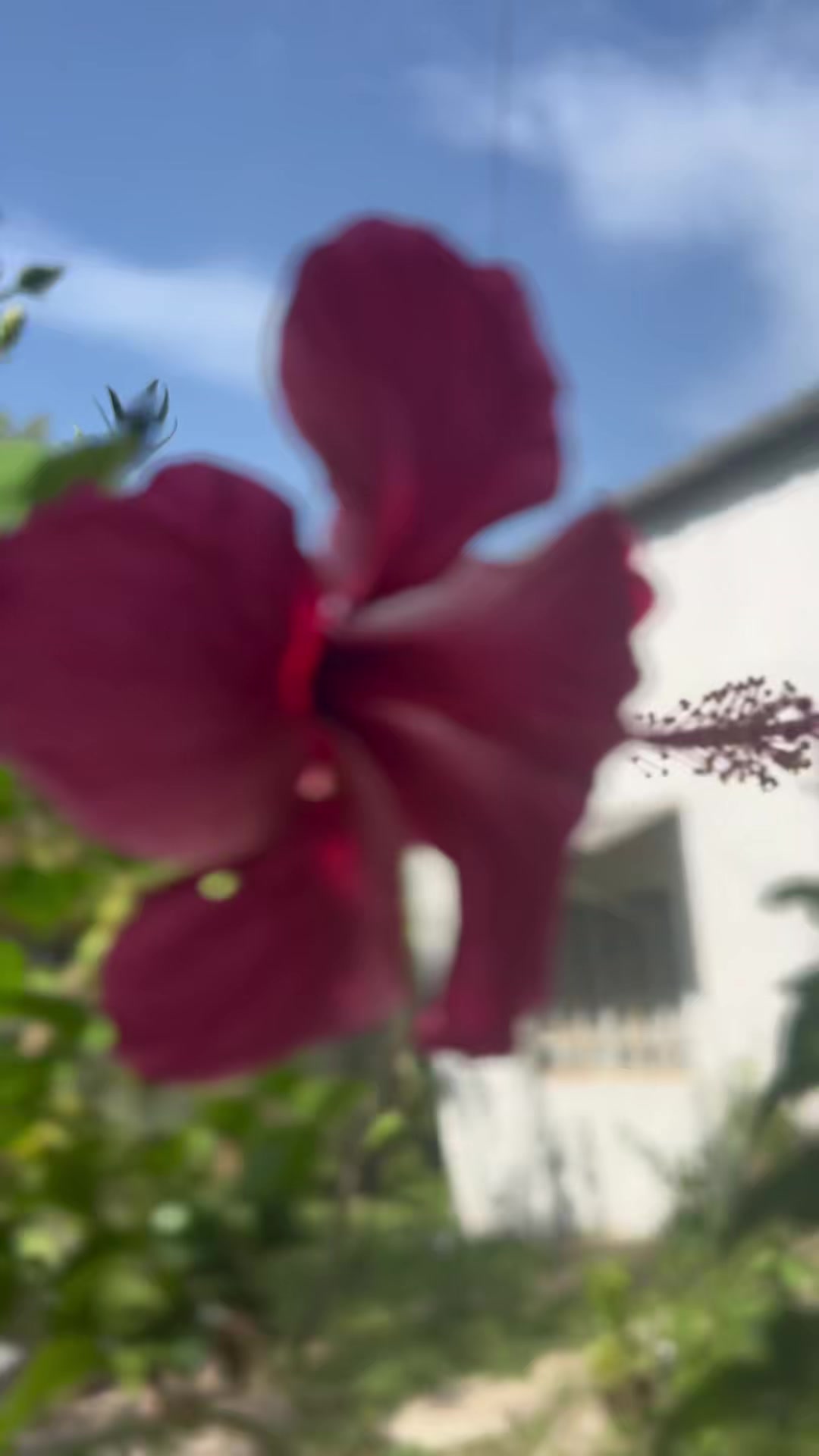 @Angxl_Z_🌴🧃