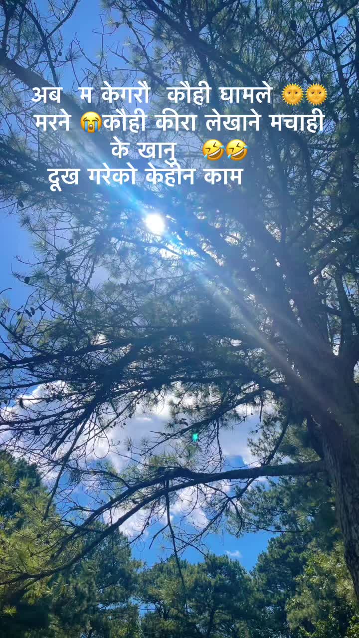 @Manita