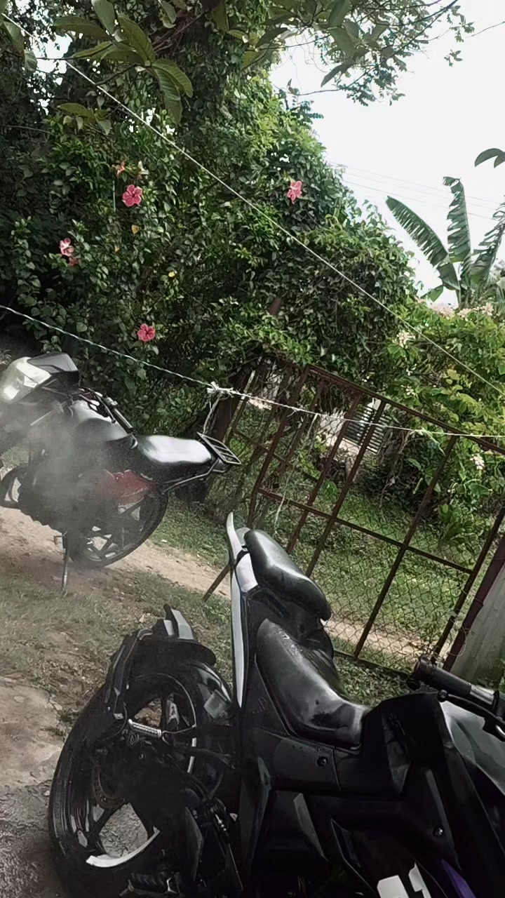 @Angxl_Z_🌴🧃
