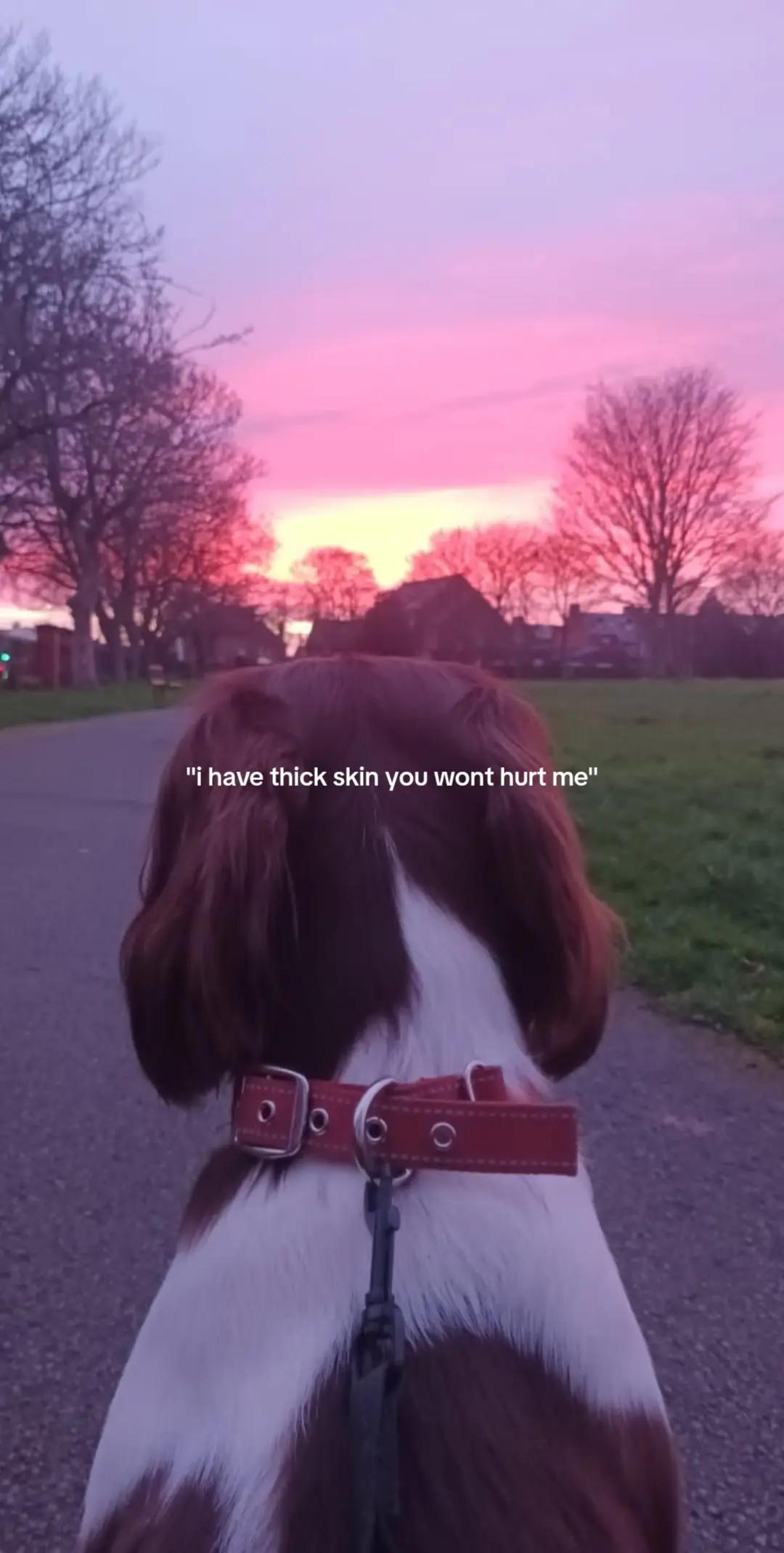 @𝑪𝒂𝒍𝒍𝒔𝒊𝒈𝒏 𝒓𝒐𝒔𝒆
