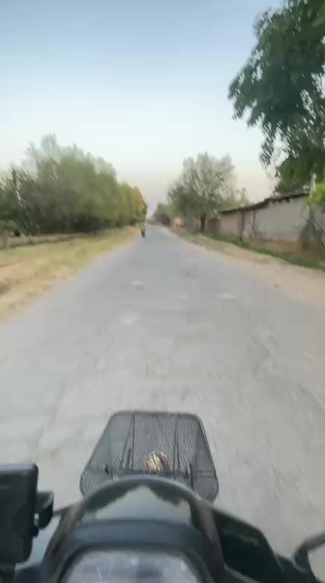 @Safari__yovoni