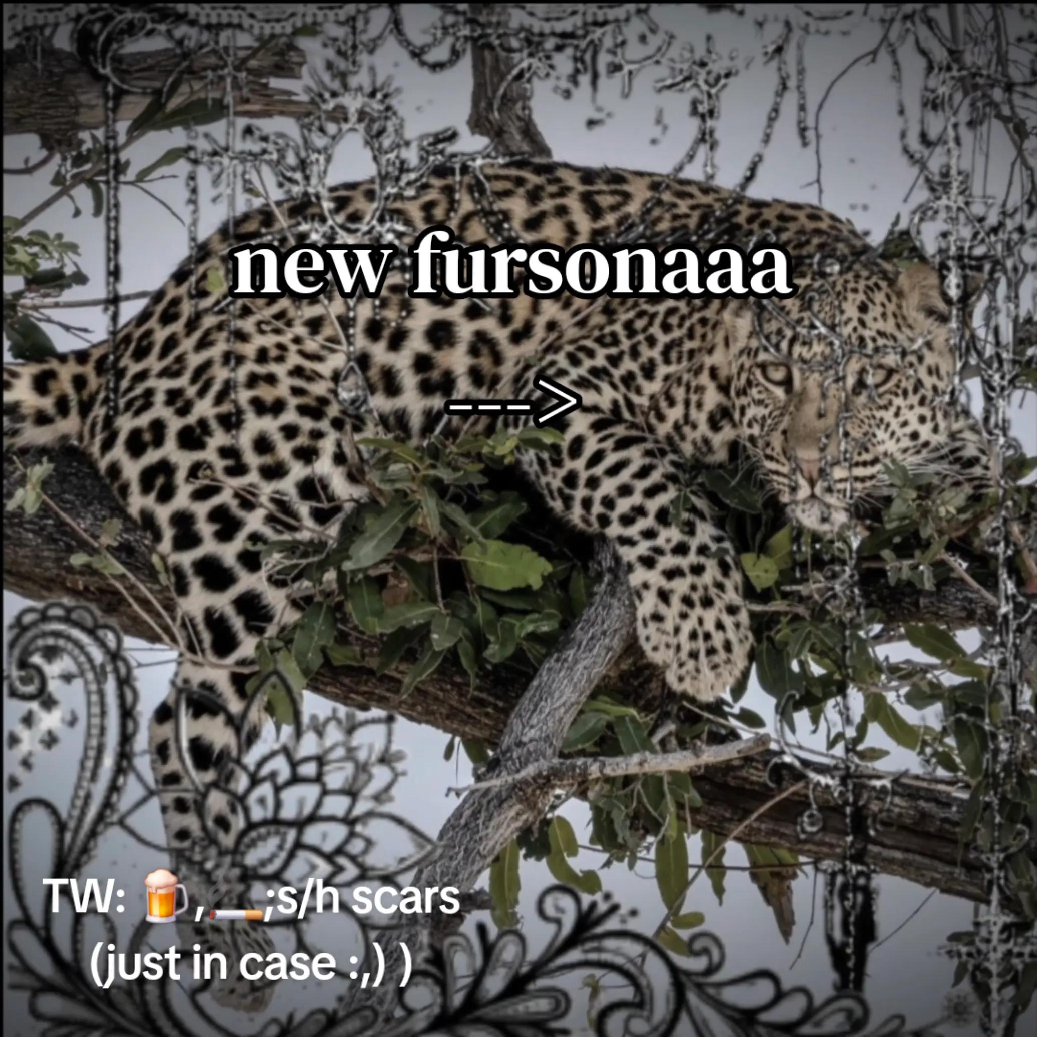 @𓃦⋆.✮𝕶𝖔𝖗𝖆✮.⋆𓃢