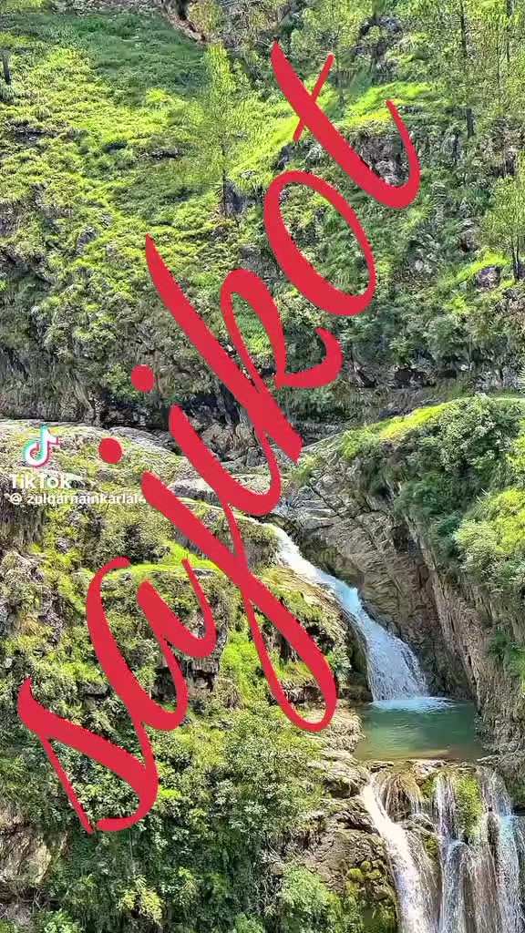 @muhammadsaddique8622