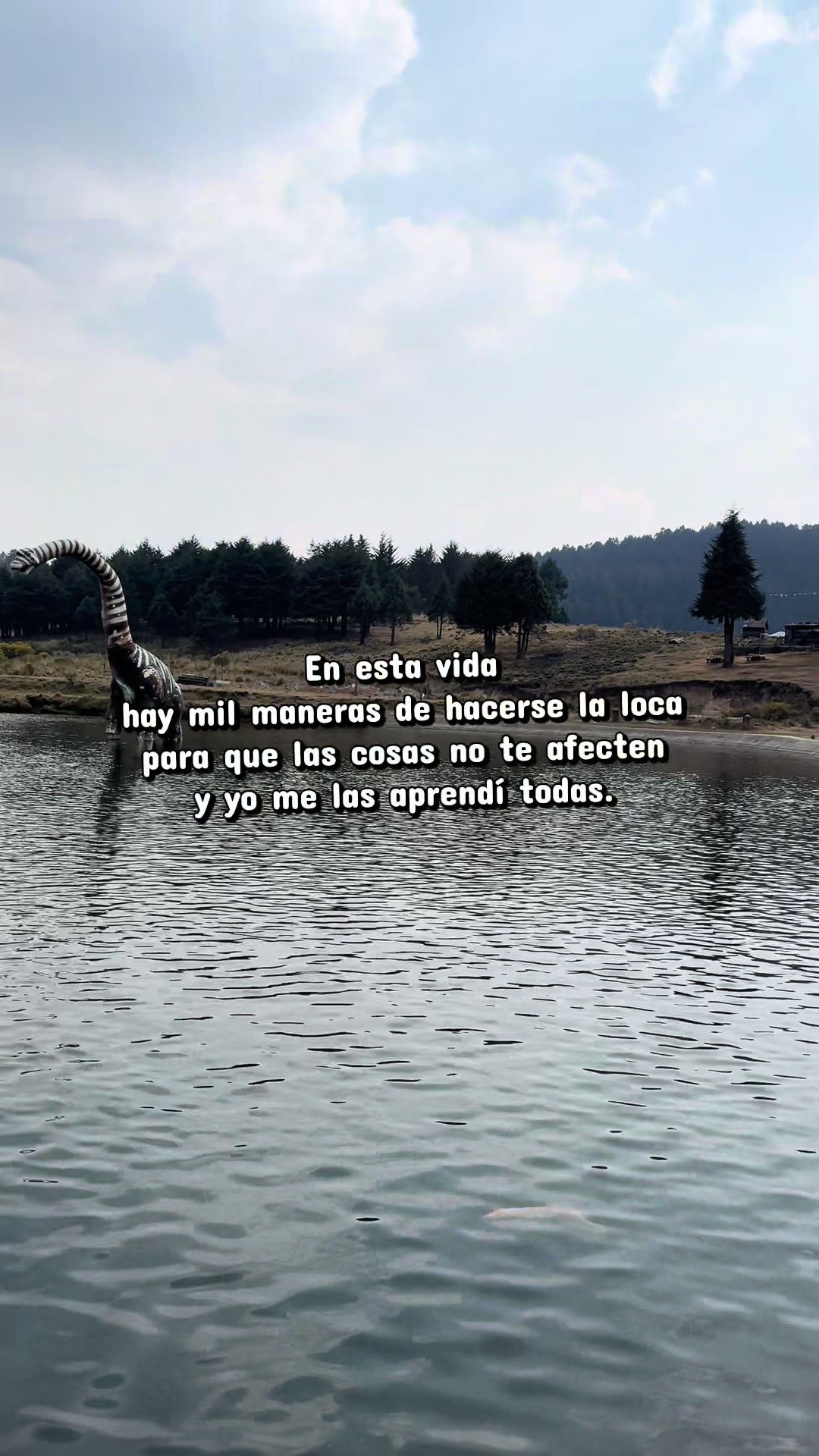 @M&oacute;nica Morales 🦋