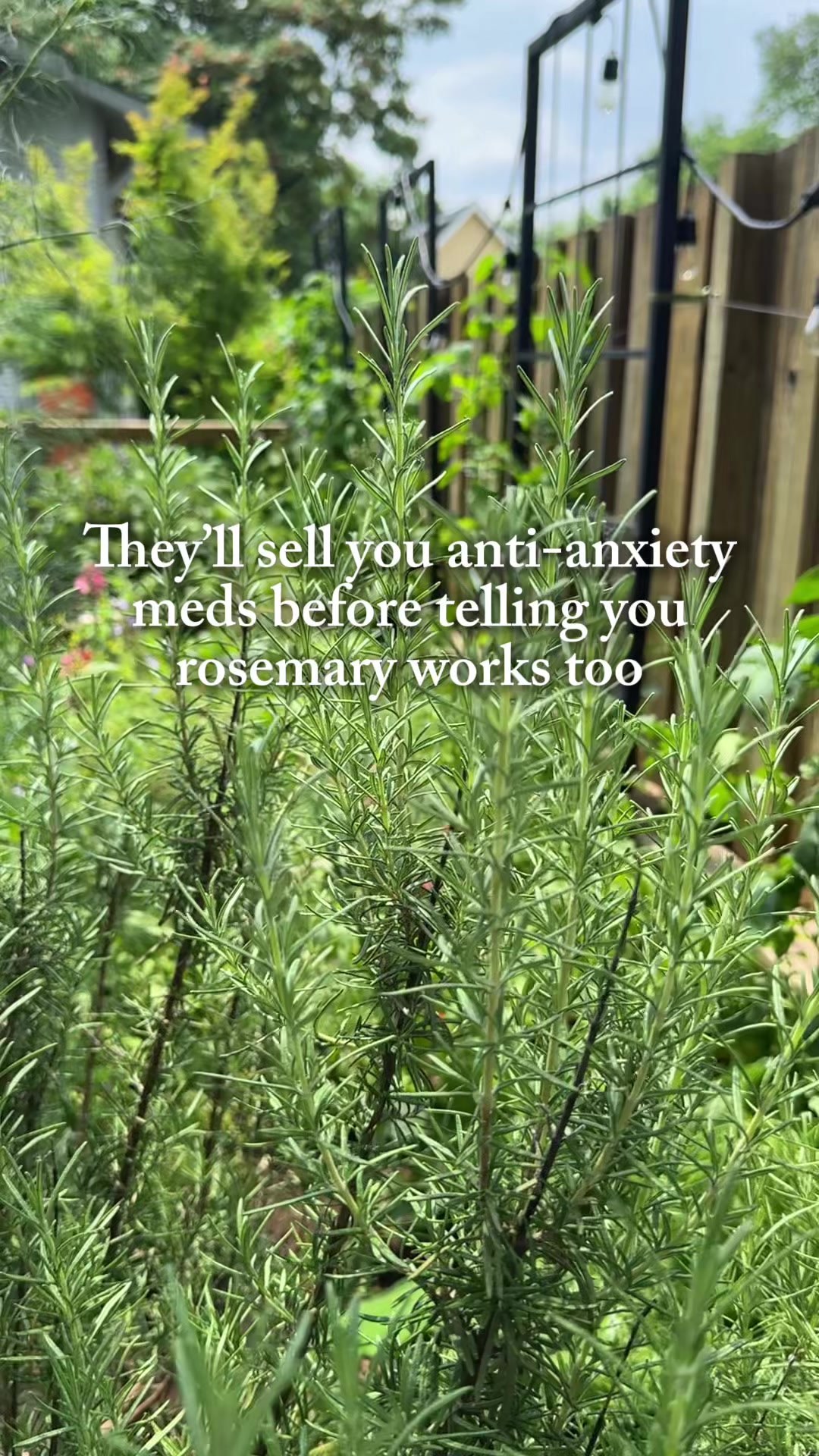 @Gardenary