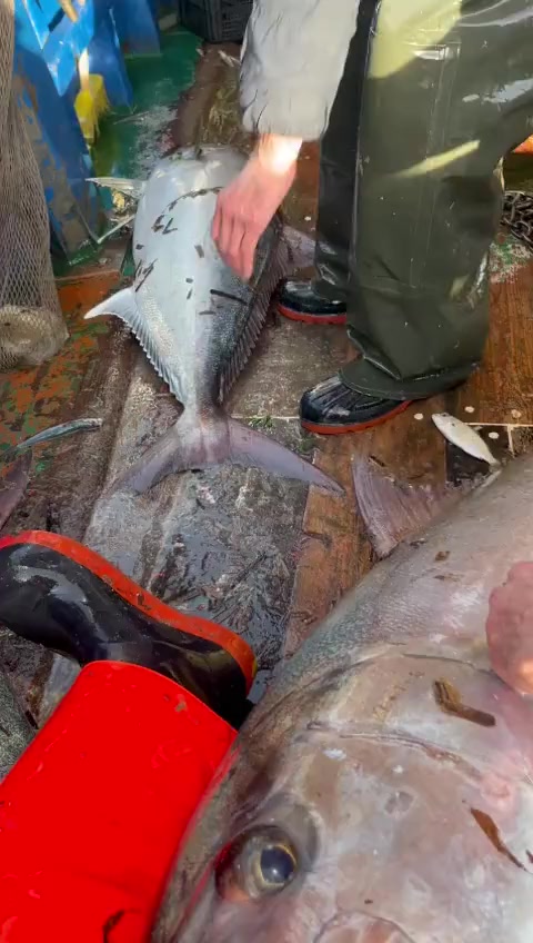 @🛳️h&agrave;m&igrave;d&oslash;⚓⚡R&aelig;ys&euml;🐬🏴&zwj;☠️