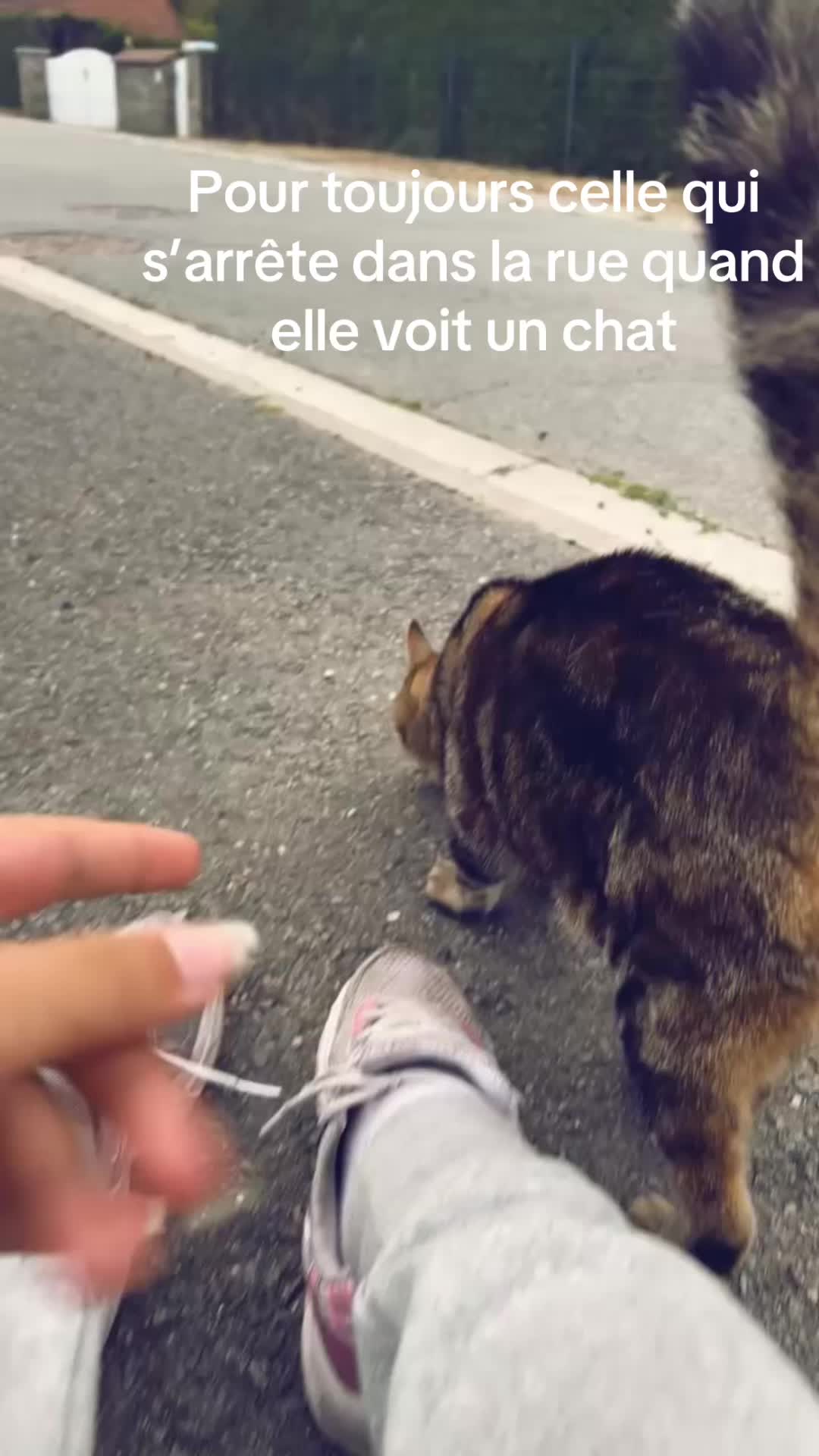 @Faustine