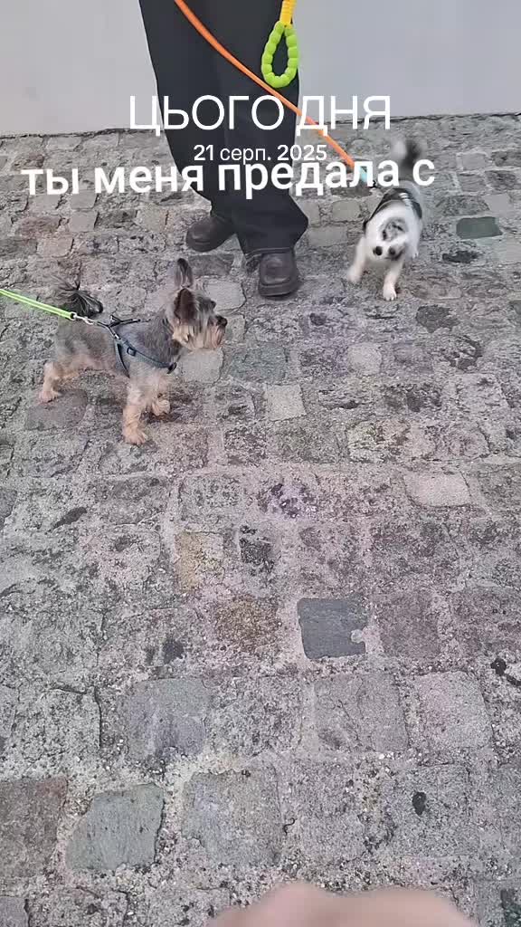 @Мэли🪽