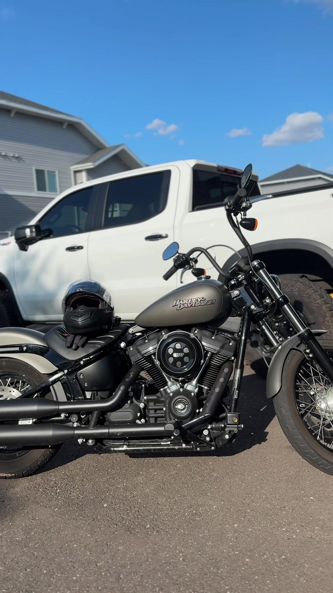 @white_bison¥