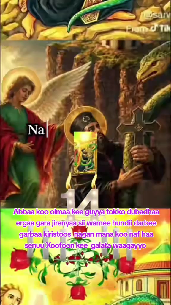@masi hadhaa Tsiyoon matiyoos