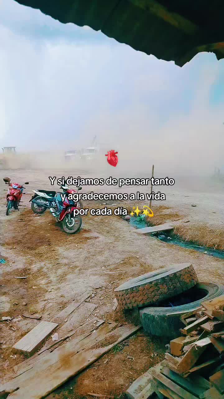 @Violeta