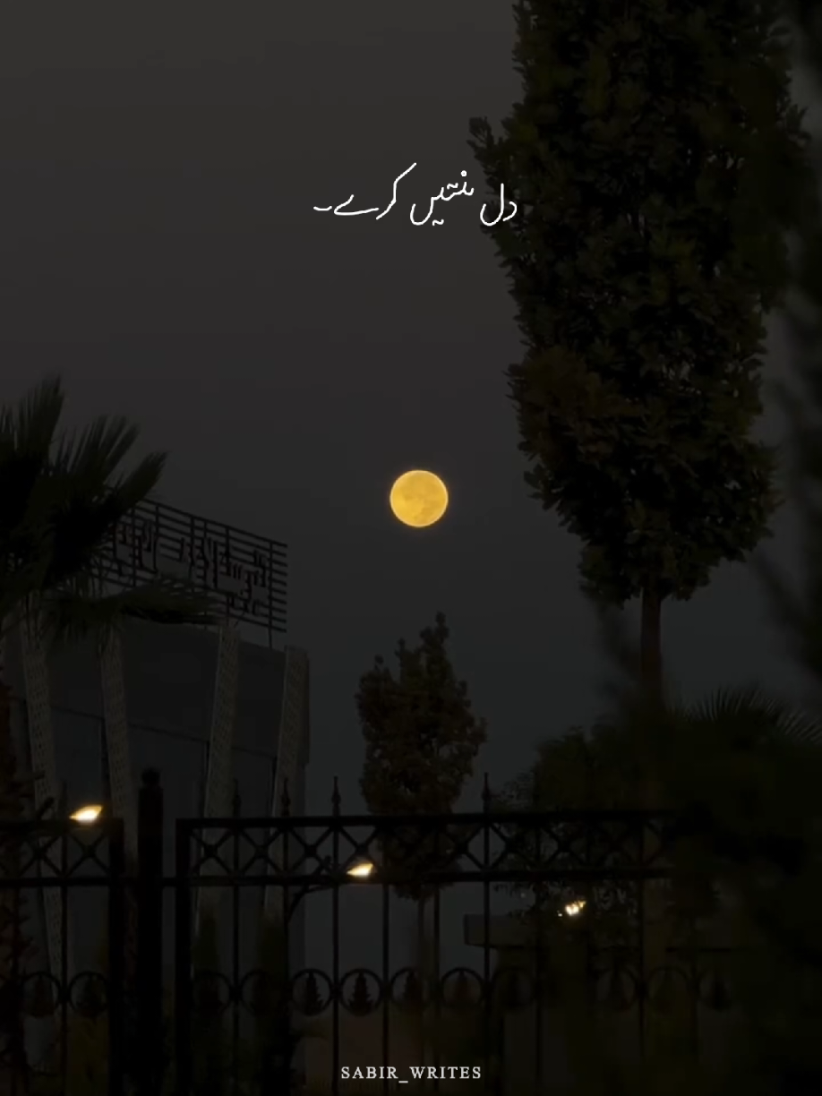 @S A ب I R 🍁✨