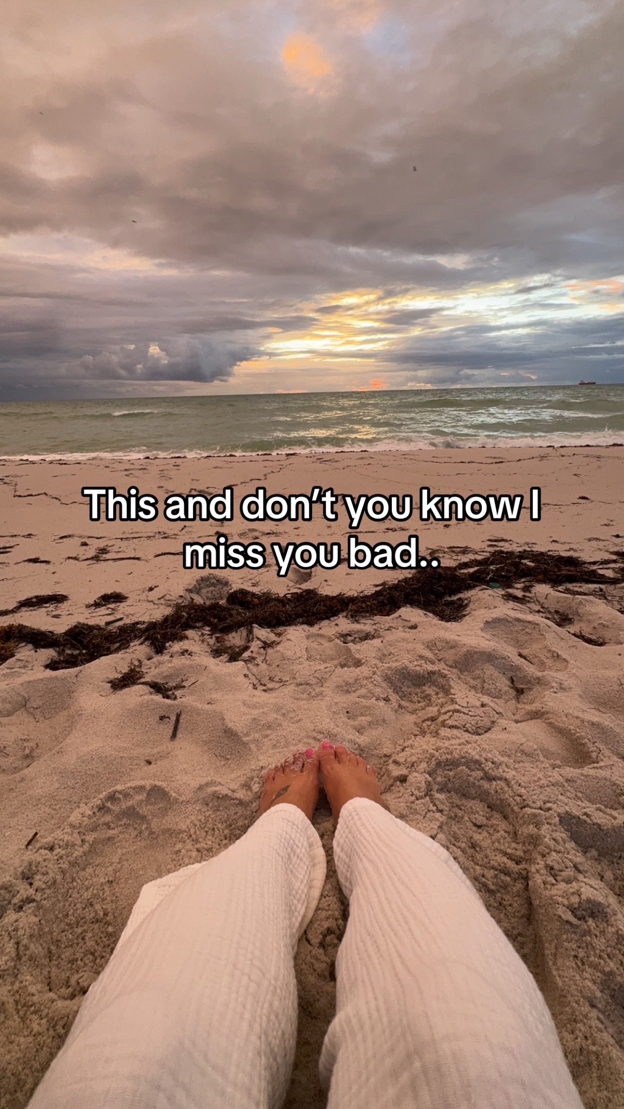 @L O L O 🌿