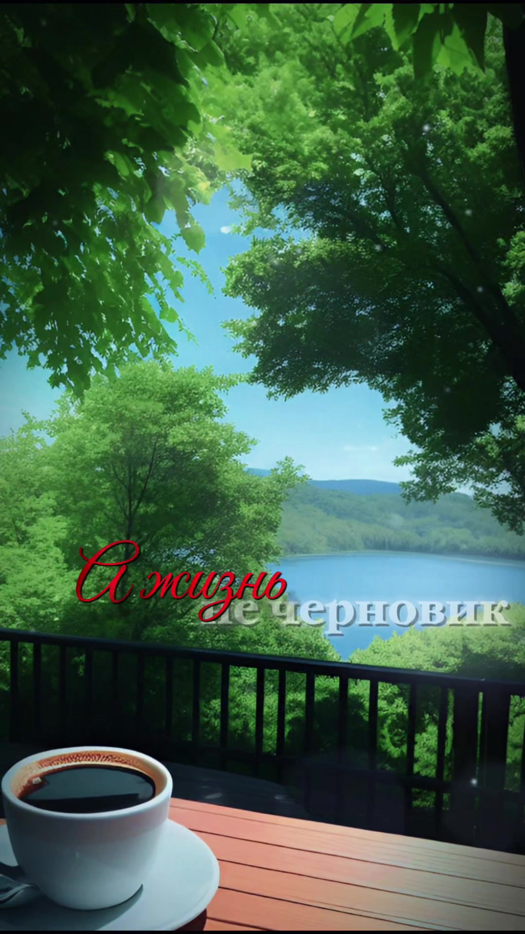 @akitakot2