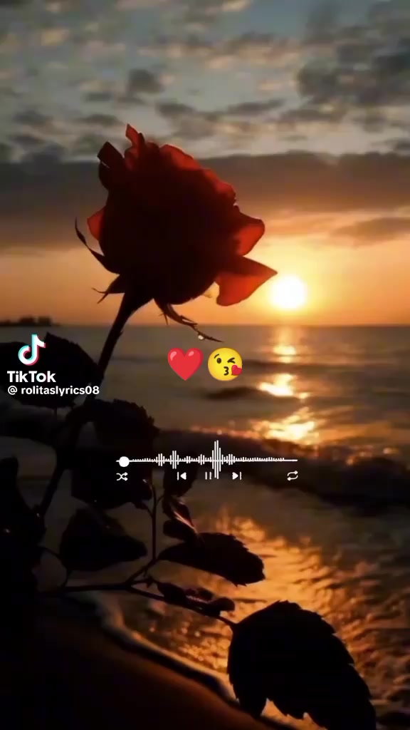 @🌸❀𝓨𝓪𝓷𝓲𝓻𝓪❀🌸