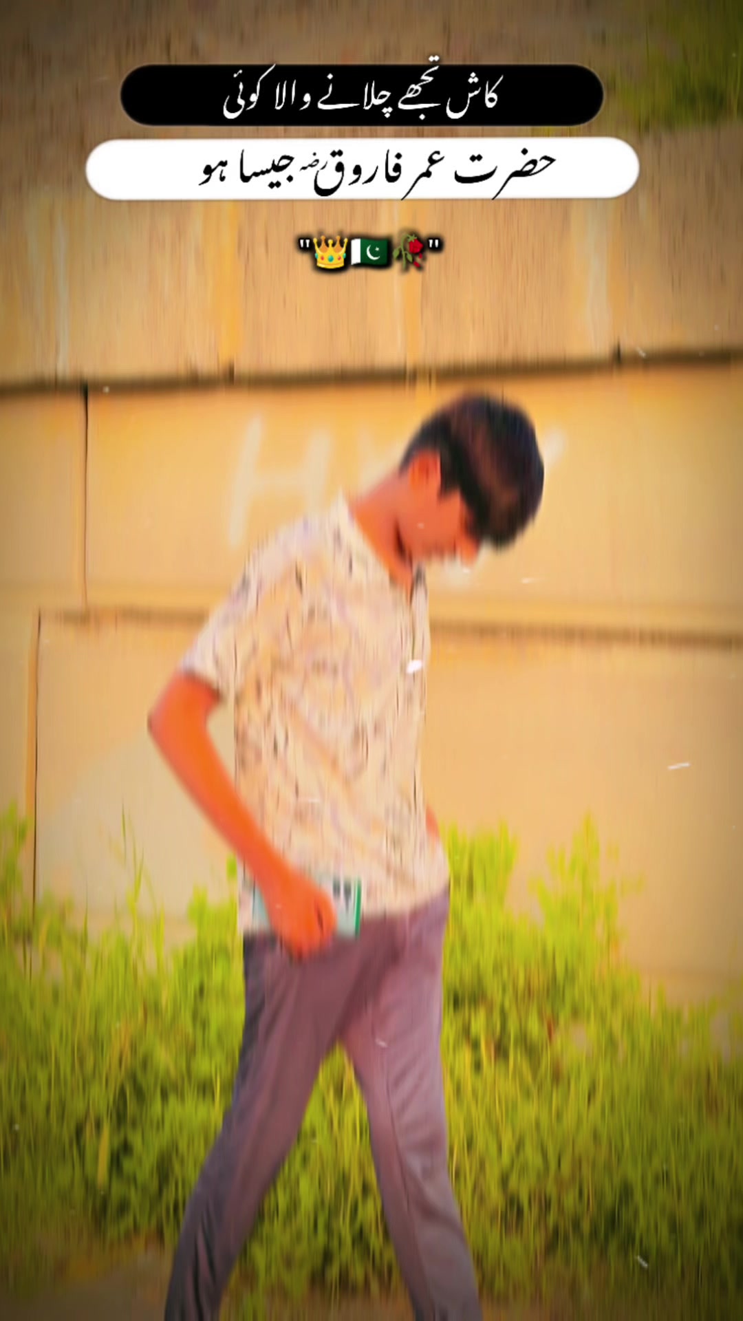 @Malik saif Ismail 3696