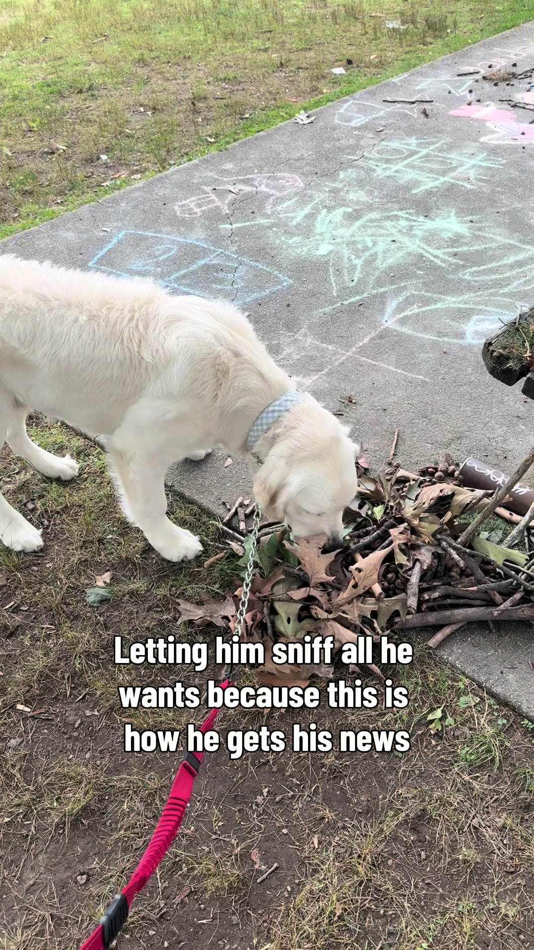 @Kenley Kegler